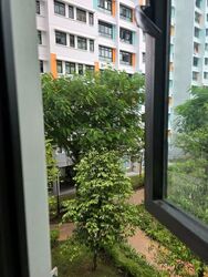 Blk 593B Montreal Ville (Sembawang), HDB 2 Rooms #578078061